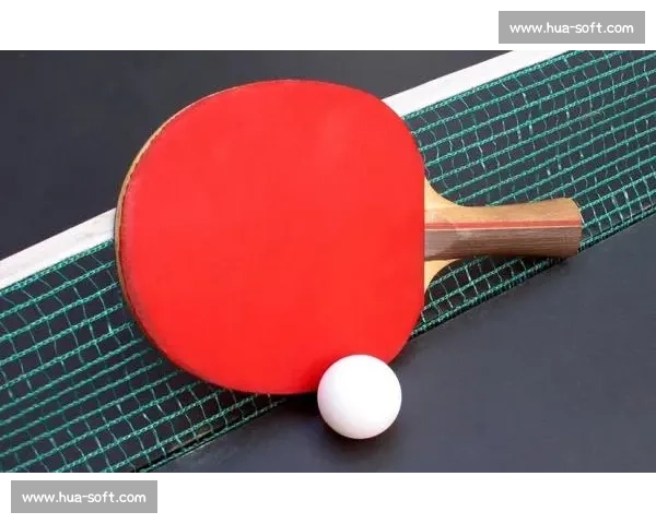 高智尔球走红：智慧球类的玩法全攻略